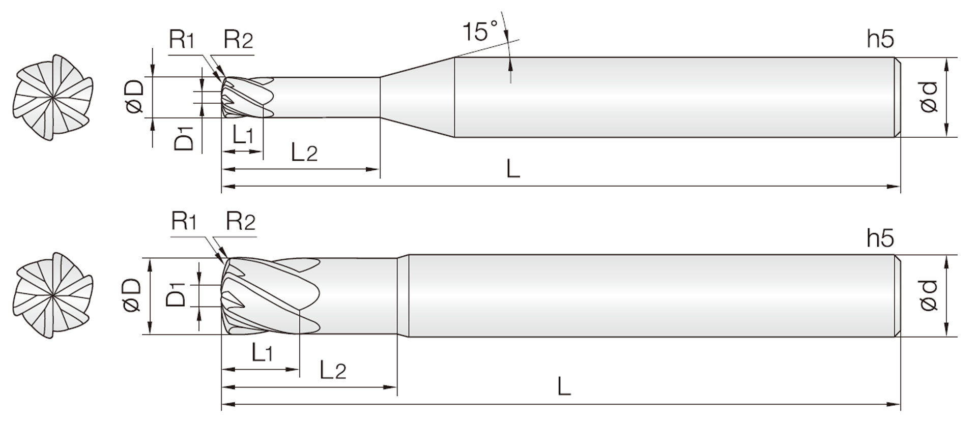 4&6JJDRC (JJ Doppel Torusfräser)